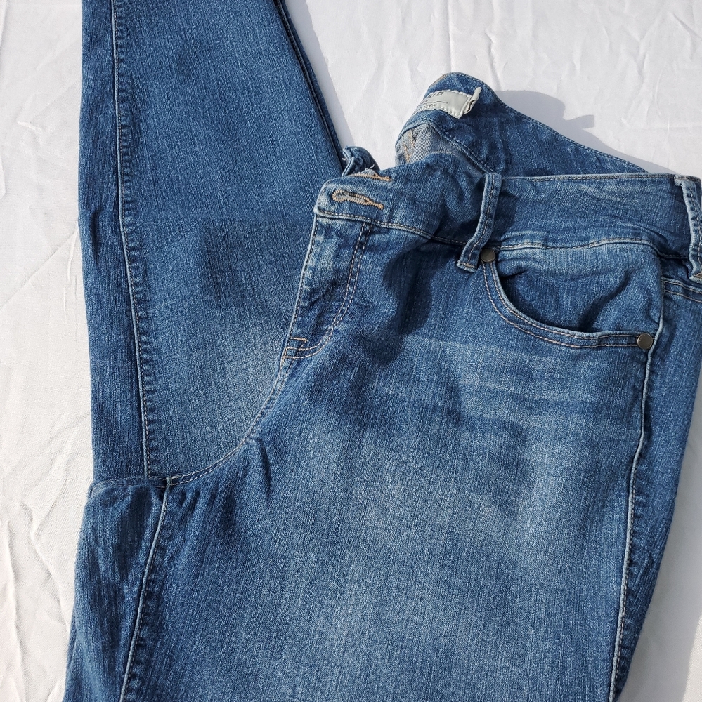 Torrid 18R jegging